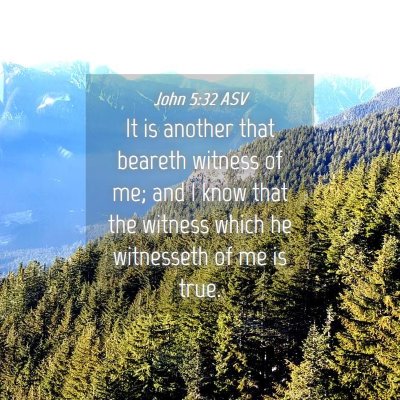 Picture 04 - John 5:32 ASV - It is another that beareth witness of me; and I - Bible Verse Picture