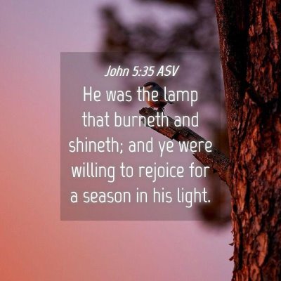 Picture 04 - John 5:35 ASV - He was the lamp that burneth and shineth; and ye - Bible Verse Picture