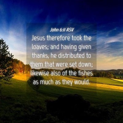 Picture 04 - John 6:11 ASV - Jesus therefore took the loaves; and having given - Bible Verse Picture