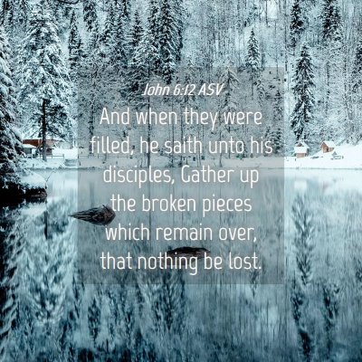 Picture 04 - John 6:12 ASV - And when they were filled, he saith unto his - Bible Verse Picture