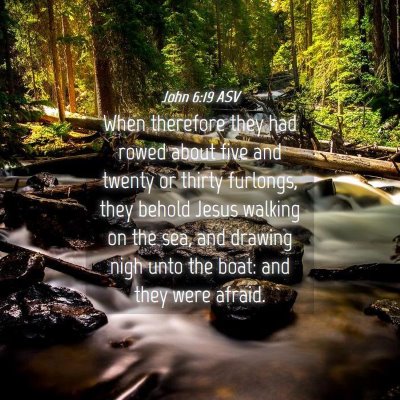 Picture 04 - John 6:19 ASV - When therefore they had rowed about five and - Bible Verse Picture