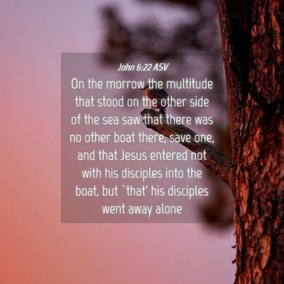 Picture 04 - John 6:22 ASV - On the morrow the multitude that stood on the - Bible Verse Picture