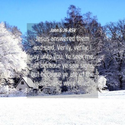Picture 04 - John 6:26 ASV - Jesus answered them and said, Verily, verily, I - Bible Verse Picture