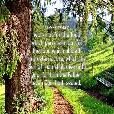 Picture 04 - John 6:27 ASV - Work not for the food which perisheth, but for - Bible Verse Picture