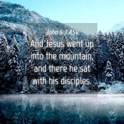 Picture 04 - John 6:3 ASV - And Jesus went up into the mountain, and there he - Bible Verse Picture