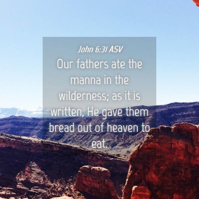 Picture 04 - John 6:31 ASV - Our fathers ate the manna in the wilderness; as - Bible Verse Picture