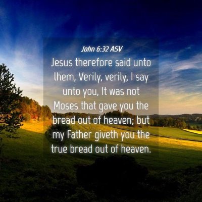 Picture 04 - John 6:32 ASV - Jesus therefore said unto them, Verily, verily, I - Bible Verse Picture