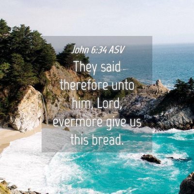Picture 04 - John 6:34 ASV - They said therefore unto him, Lord, evermore give - Bible Verse Picture