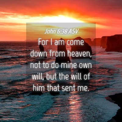 Picture 04 - John 6:38 ASV - For I am come down from heaven, not to do mine - Bible Verse Picture