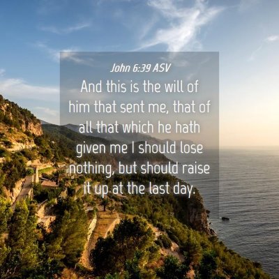 Picture 04 - John 6:39 ASV - And this is the will of him that sent me, that of - Bible Verse Picture