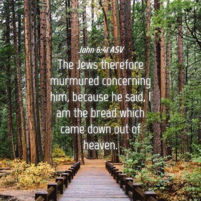 Picture 04 - John 6:41 ASV - The Jews therefore murmured concerning him, - Bible Verse Picture