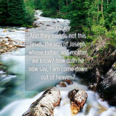 Picture 04 - John 6:42 ASV - And they said, Is not this Jesus, the son of - Bible Verse Picture