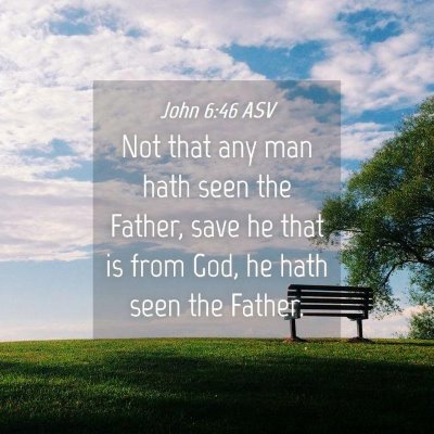 Picture 04 - John 6:46 ASV - Not that any man hath seen the Father, save he - Bible Verse Picture
