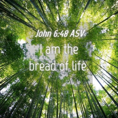 Picture 04 - John 6:48 ASV - I am the bread of - Bible Verse Picture