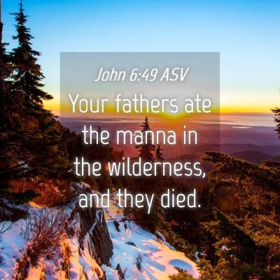 Picture 04 - John 6:49 ASV - Your fathers ate the manna in the wilderness, and - Bible Verse Picture