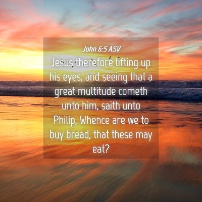 Picture 04 - John 6:5 ASV - Jesus therefore lifting up his eyes, and seeing - Bible Verse Picture