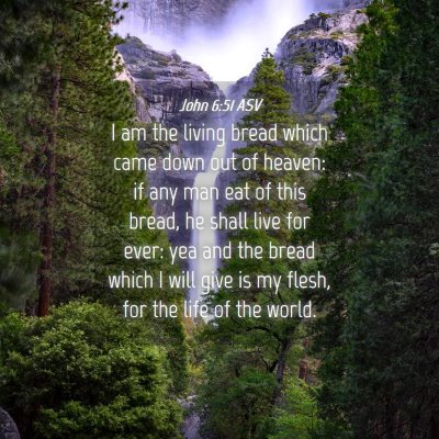 Picture 04 - John 6:51 ASV - I am the living bread which came down out of - Bible Verse Picture