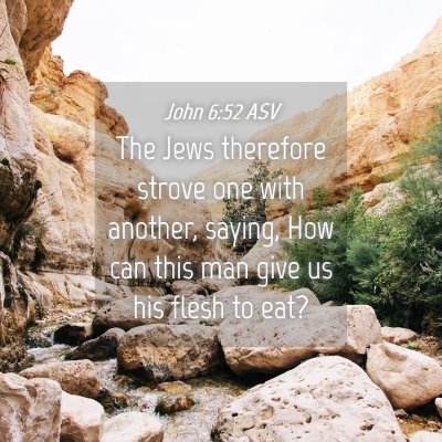 Picture 04 - John 6:52 ASV - The Jews therefore strove one with another, - Bible Verse Picture