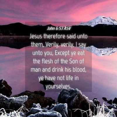 Picture 04 - John 6:53 ASV - Jesus therefore said unto them, Verily, verily, I - Bible Verse Picture