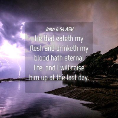 Picture 04 - John 6:54 ASV - He that eateth my flesh and drinketh my blood - Bible Verse Picture