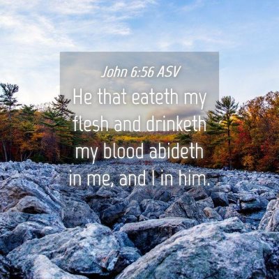 Picture 04 - John 6:56 ASV - He that eateth my flesh and drinketh my blood - Bible Verse Picture