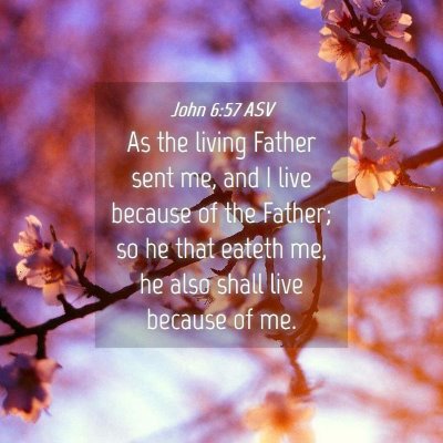 Picture 04 - John 6:57 ASV - As the living Father sent me, and I live because - Bible Verse Picture