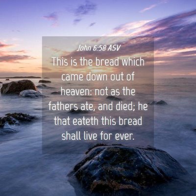 Picture 04 - John 6:58 ASV - This is the bread which came down out of heaven: - Bible Verse Picture