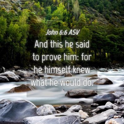 Picture 04 - John 6:6 ASV - And this he said to prove him: for he himself - Bible Verse Picture