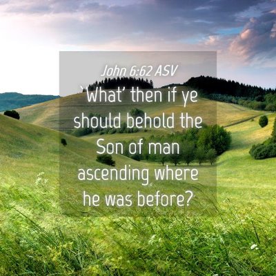 Picture 04 - John 6:62 ASV - `What' then if ye should behold the Son of man - Bible Verse Picture