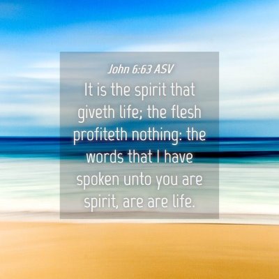 Picture 04 - John 6:63 ASV - It is the spirit that giveth life; the flesh - Bible Verse Picture
