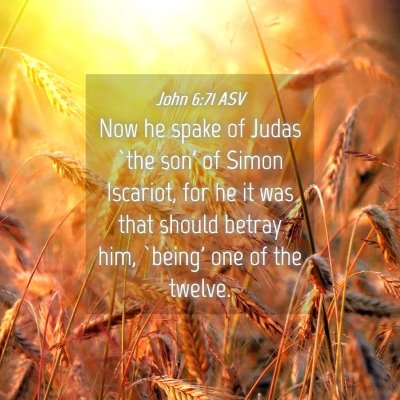Picture 04 - John 6:71 ASV - Now he spake of Judas `the son' of Simon - Bible Verse Picture
