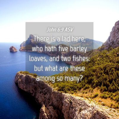 Picture 04 - John 6:9 ASV - There is a lad here, who hath five barley loaves, - Bible Verse Picture