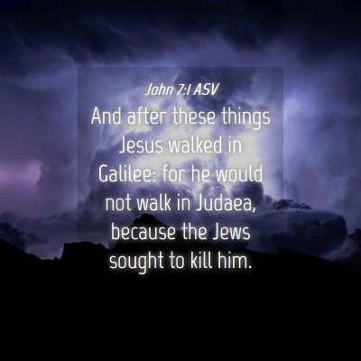 Picture 04 - John 7:1 ASV - And after these things Jesus walked in Galilee: - Bible Verse Picture