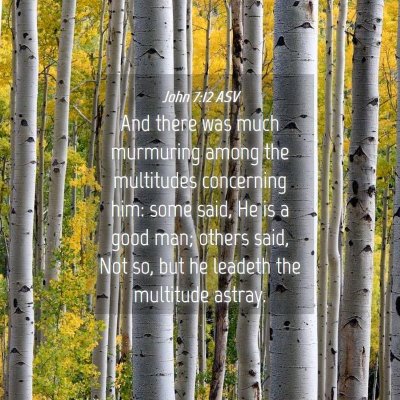 Picture 04 - John 7:12 ASV - And there was much murmuring among the multitudes - Bible Verse Picture