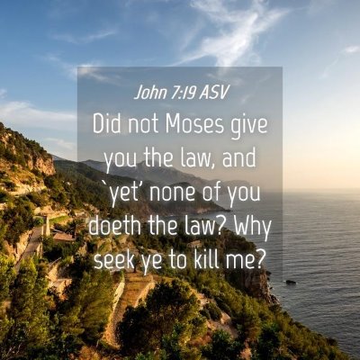 Picture 04 - John 7:19 ASV - Did not Moses give you the law, and `yet' none of - Bible Verse Picture