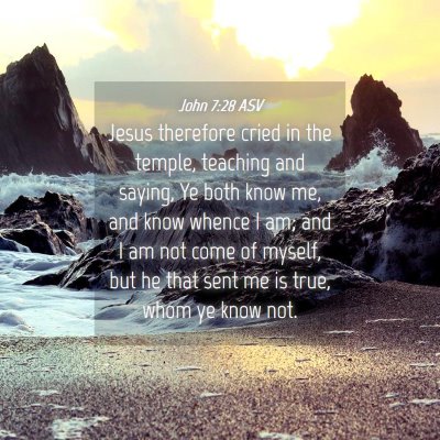Picture 04 - John 7:28 ASV - Jesus therefore cried in the temple, teaching and - Bible Verse Picture