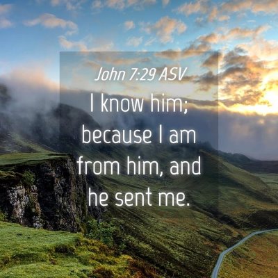 Picture 04 - John 7:29 ASV - I know him; because I am from him, and he sent - Bible Verse Picture