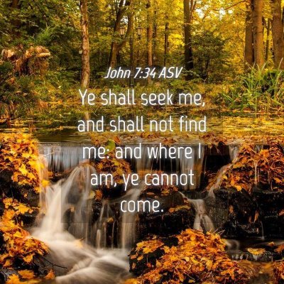 Picture 04 - John 7:34 ASV - Ye shall seek me, and shall not find me: and - Bible Verse Picture