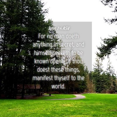 Picture 04 - John 7:4 ASV - For no man doeth anything in secret, and himself - Bible Verse Picture
