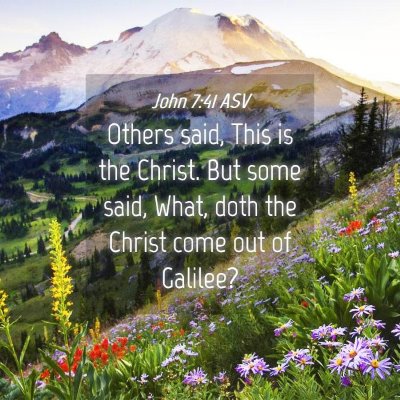 Picture 04 - John 7:41 ASV - Others said, This is the Christ. But some said, - Bible Verse Picture