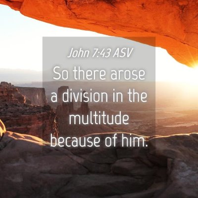Picture 04 - John 7:43 ASV - So there arose a division in the multitude - Bible Verse Picture