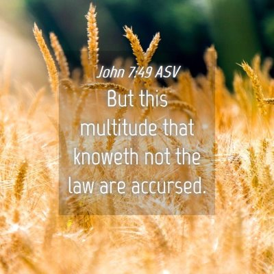 Picture 04 - John 7:49 ASV - But this multitude that knoweth not the law are - Bible Verse Picture