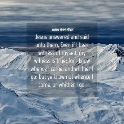 Picture 04 - John 8:14 ASV - Jesus answered and said unto them, Even if I bear - Bible Verse Picture