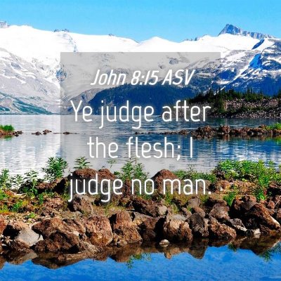 Picture 04 - John 8:15 ASV - Ye judge after the flesh; I judge no - Bible Verse Picture