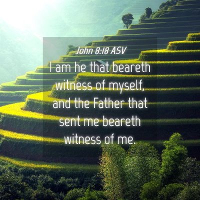 Picture 04 - John 8:18 ASV - I am he that beareth witness of myself, and the - Bible Verse Picture