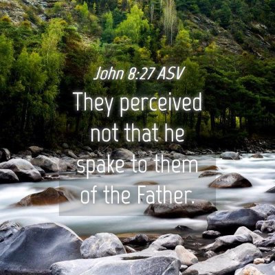 Picture 04 - John 8:27 ASV - They perceived not that he spake to them of the - Bible Verse Picture