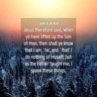 Picture 04 - John 8:28 ASV - Jesus therefore said, When ye have lifted up the - Bible Verse Picture