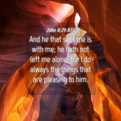 Picture 04 - John 8:29 ASV - And he that sent me is with me; he hath not left - Bible Verse Picture