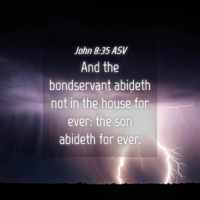 Picture 04 - John 8:35 ASV - And the bondservant abideth not in the house for - Bible Verse Picture