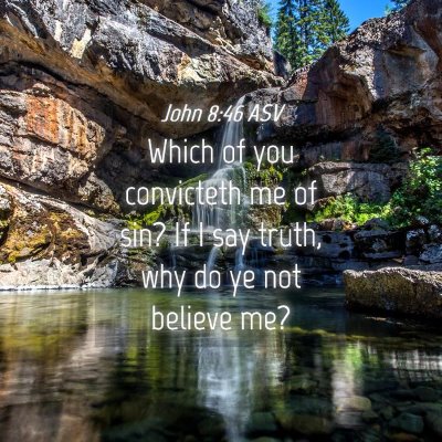 Picture 04 - John 8:46 ASV - Which of you convicteth me of sin? If I say - Bible Verse Picture